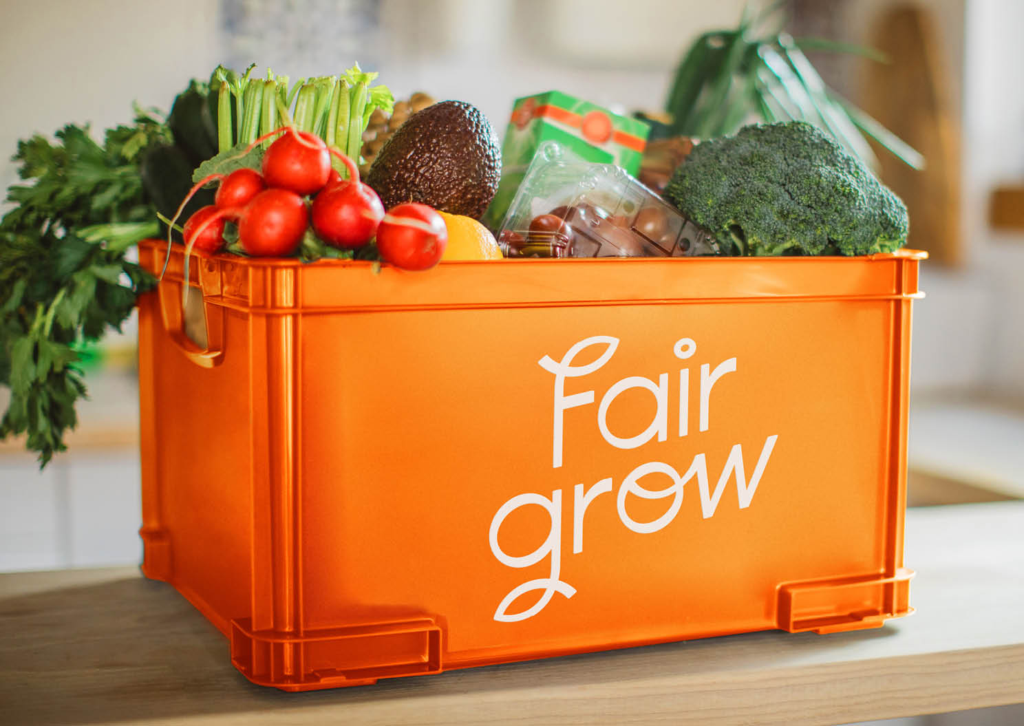 Fairgrow box of veg